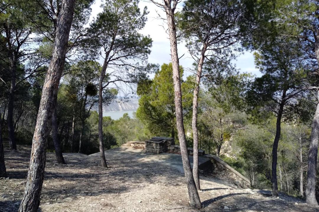 Photo of Others in La Pobla de Massaluca