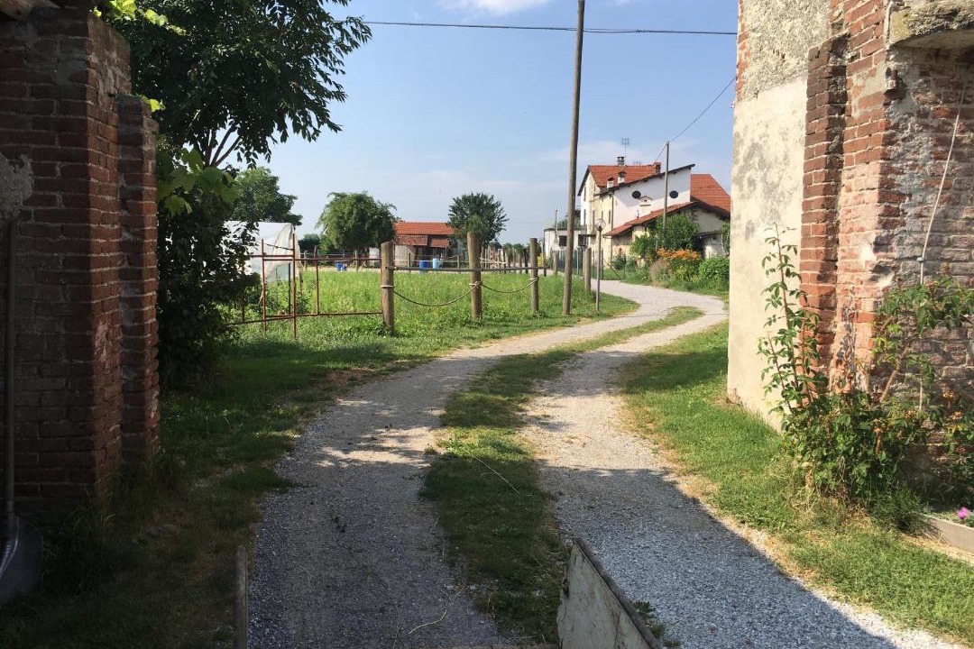 Photo of Others in Cuneo