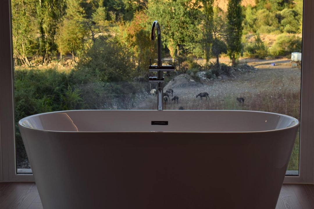 Photo of Bathroom in Escalona