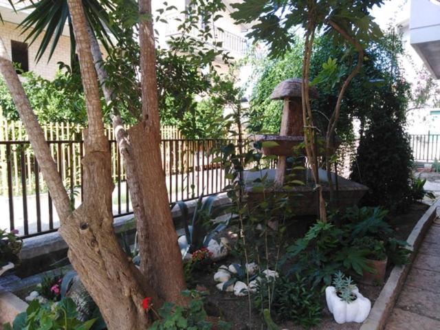 Photo of Others in Piane d'Archi-Quadroni
