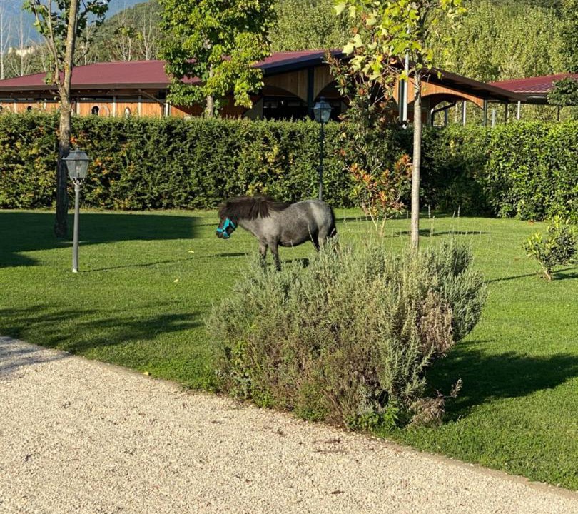 Photo of Outdoor in Vairano Patenora
