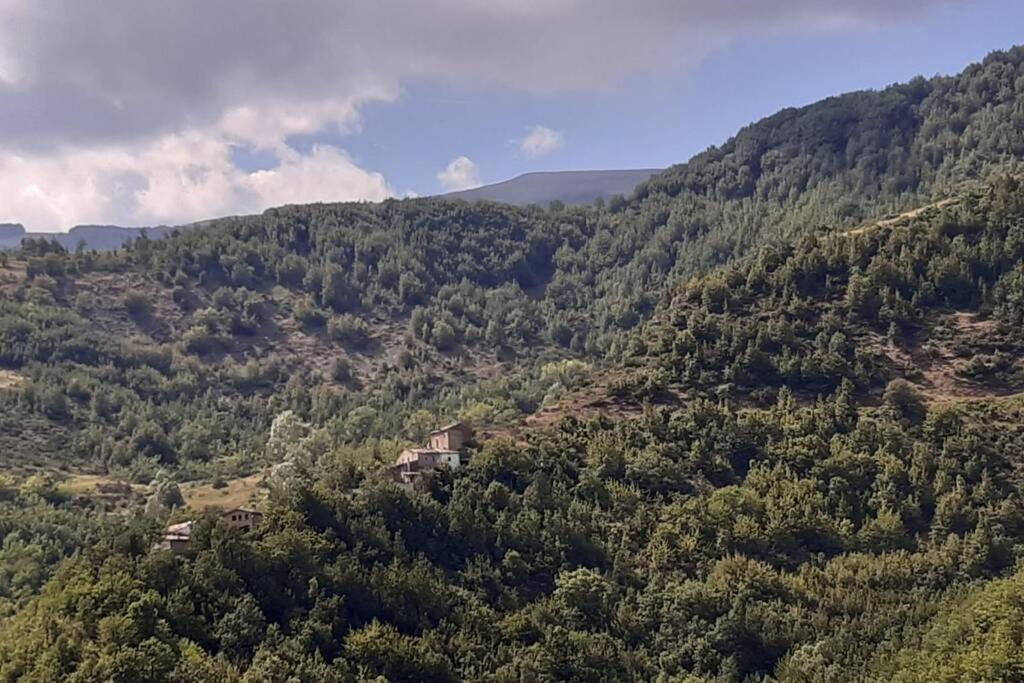 Photo of Outdoor in Rocca Santa Maria