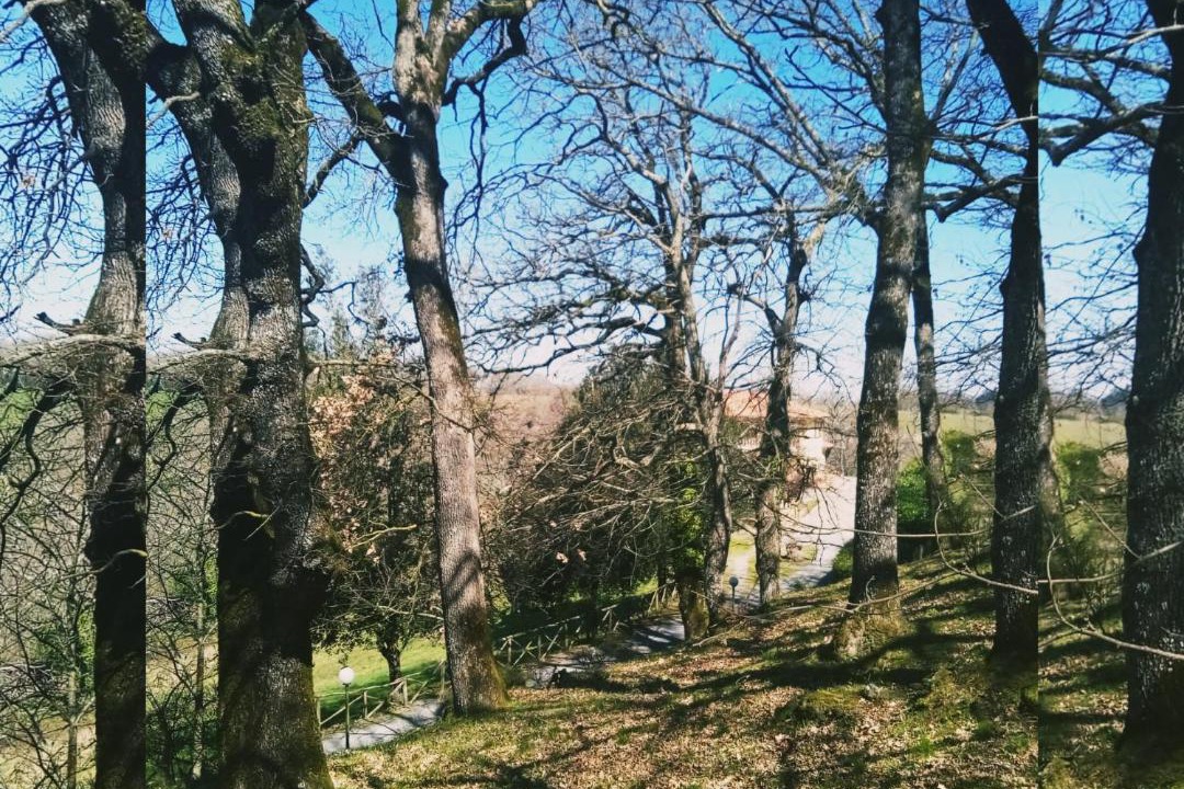 Photo of Outdoor in Bagnoregio
