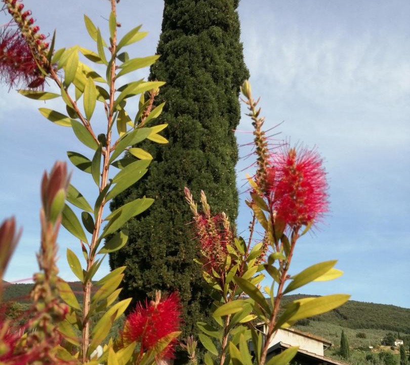 Photo of Outdoor in Baschi
