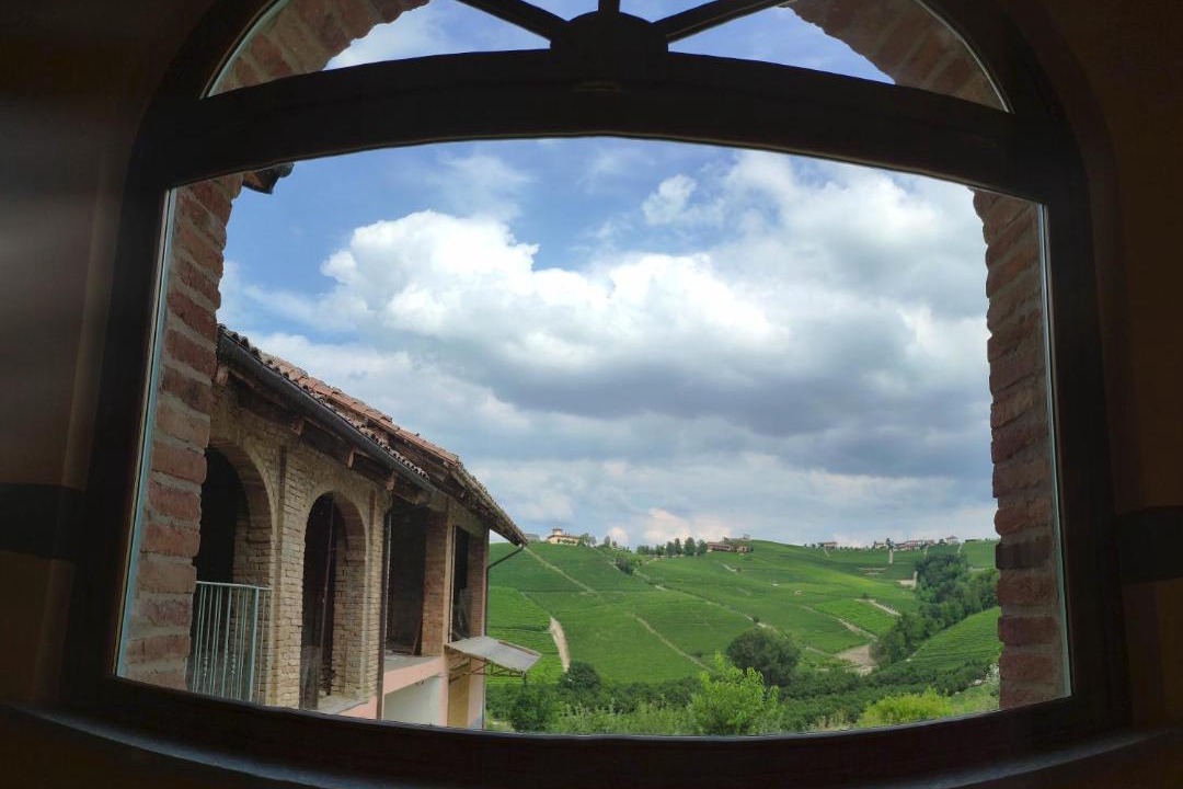Photo of Others in Barolo