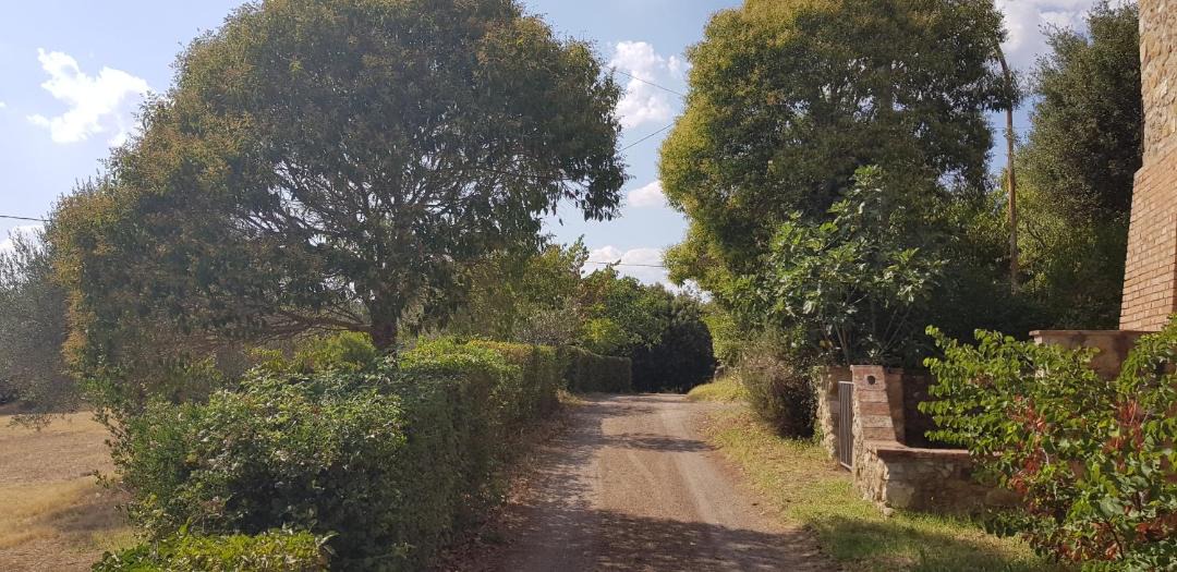 Photo of Outdoor in Murlo