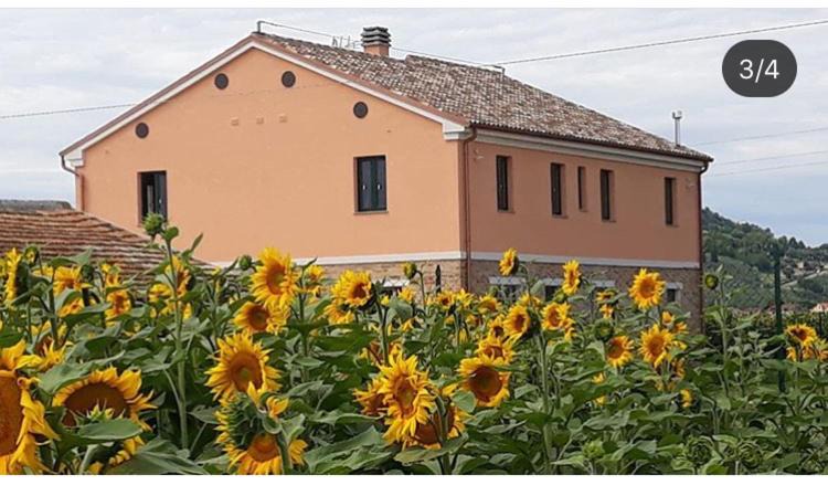 Photo of Others in Villa Musone