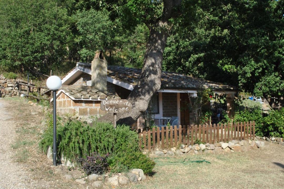 Photo of Others in Tolfa