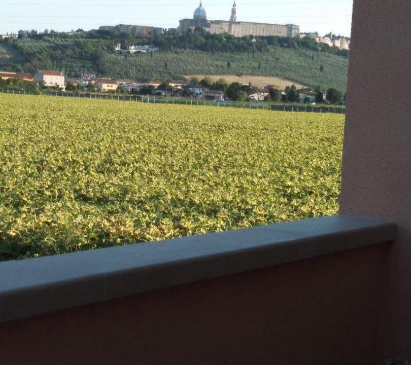 Photo of Others in Villa Musone