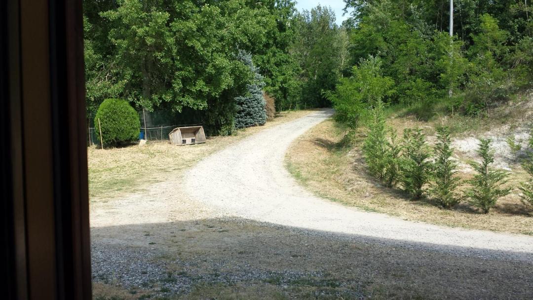 Photo of Outdoor in Canelli