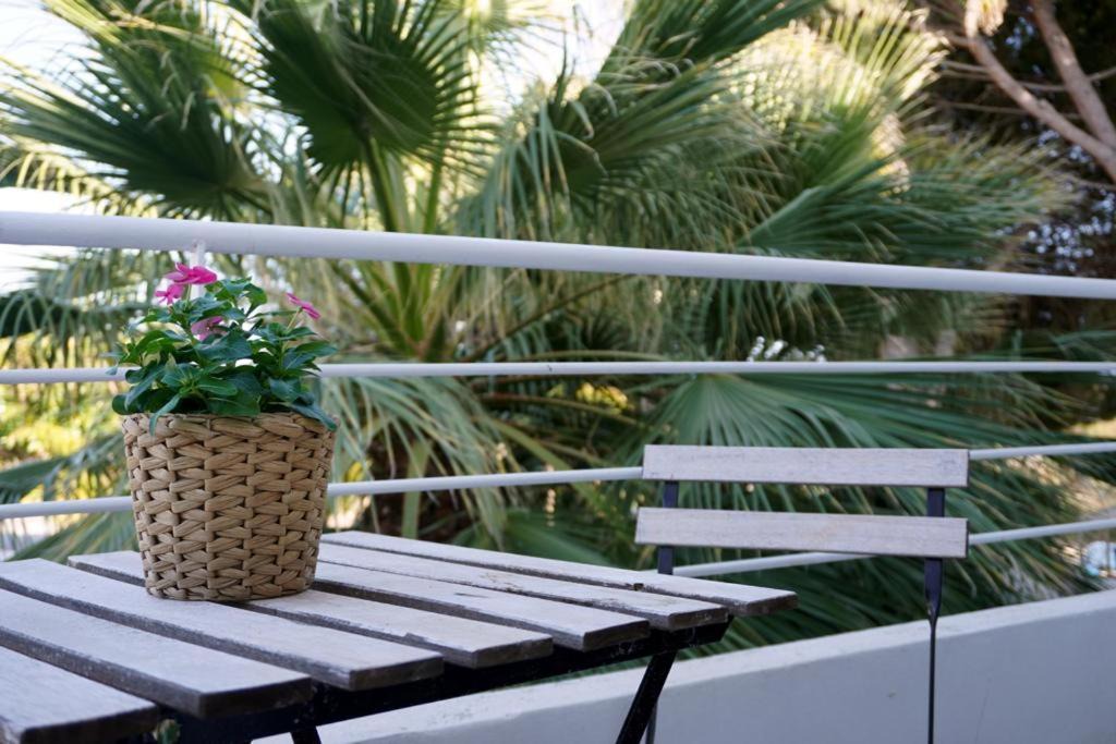 Photo of Patio Balcony in Plaja Grande
