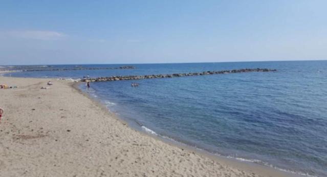 Photo of Outdoor in Marina di Massa