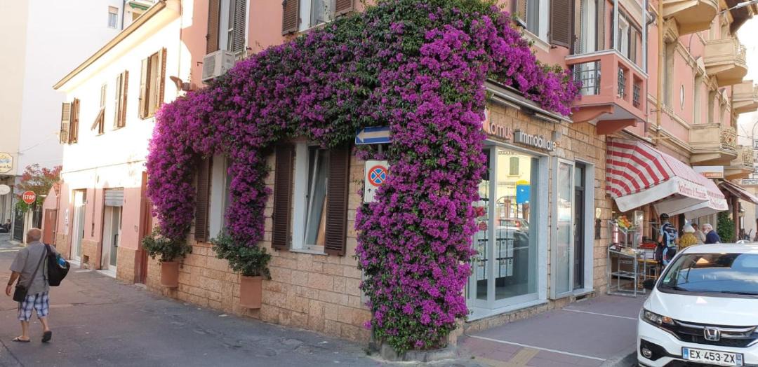 Photo of Buildings in Arma di Taggia