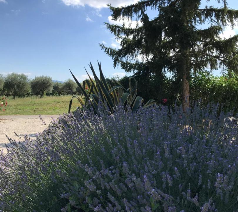 Photo of Outdoor in Nocciano