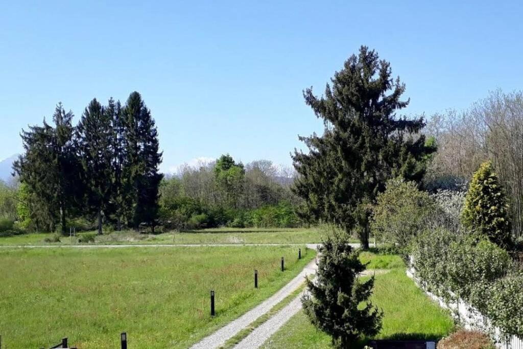 Photo of Others in Lozzolo