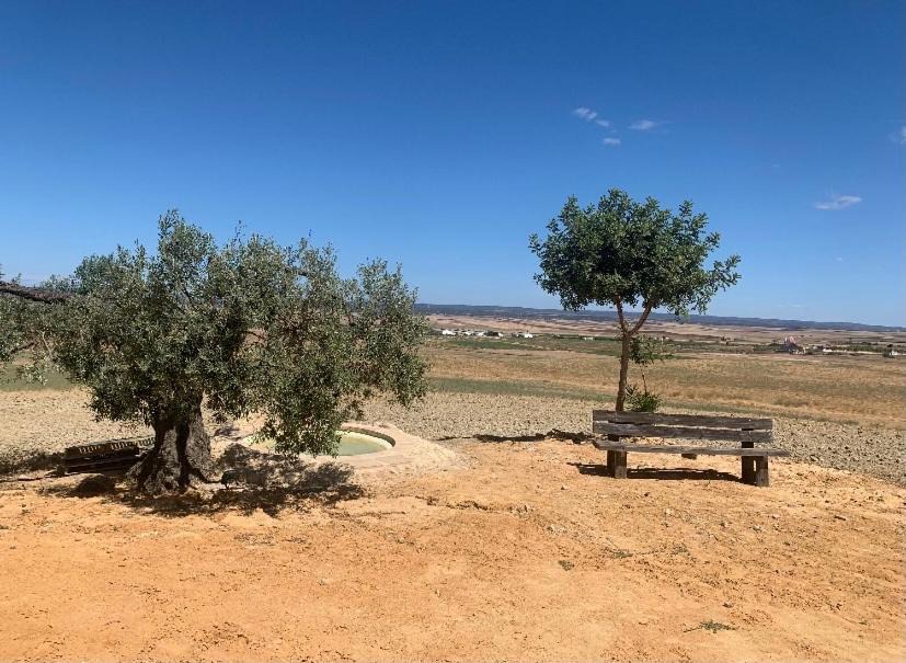 Photo of Buildings in Villalba del Alcor