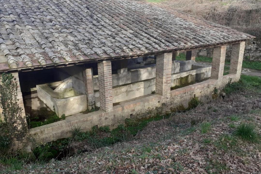 Photo of Others in Monticiano