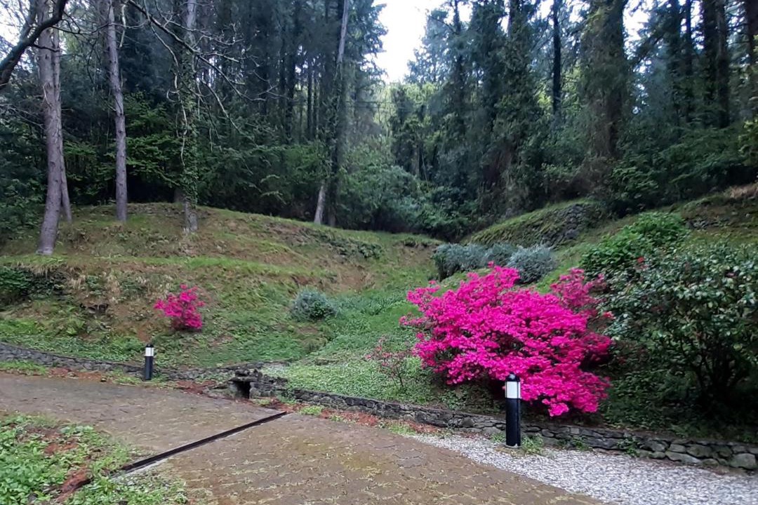 Photo of Others in Borzonasca