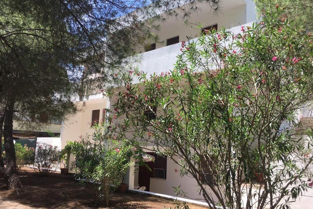 Photo of Buildings in Castellaneta Marina
