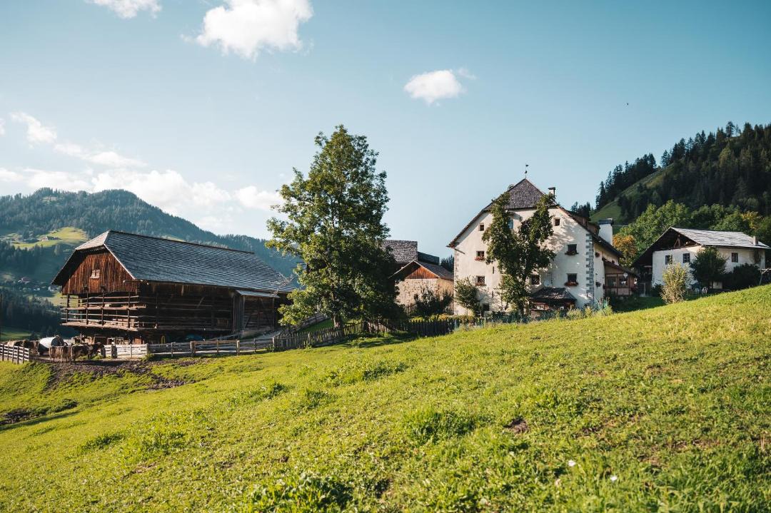 Photo of Others in Badia