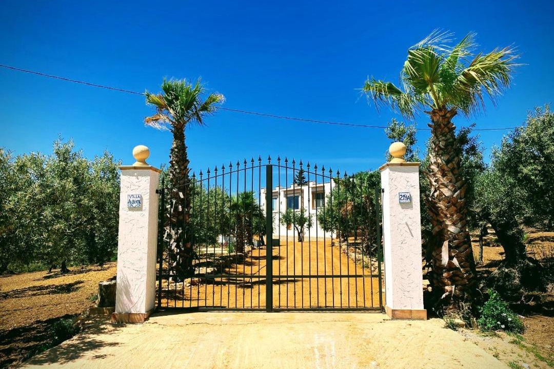 Photo of Others in Sciacca