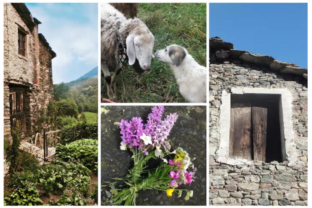 Photo of Others in Bobbio Pellice