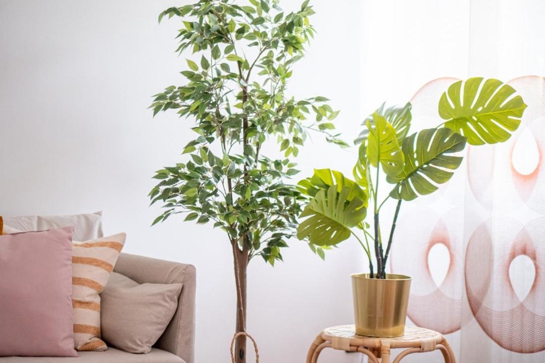 Photo of Livingroom in Crescenzago