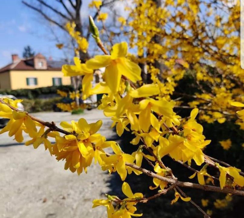 Photo of Outdoor in Ivrea