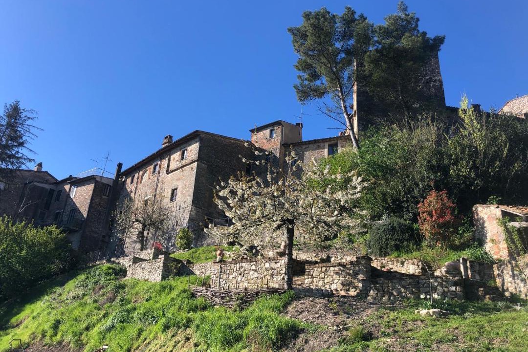 Photo of Others in Todi