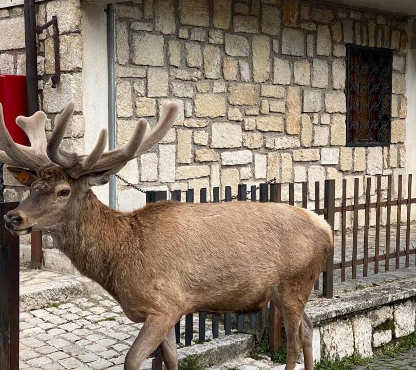 Photo of Others in Villetta Barrea