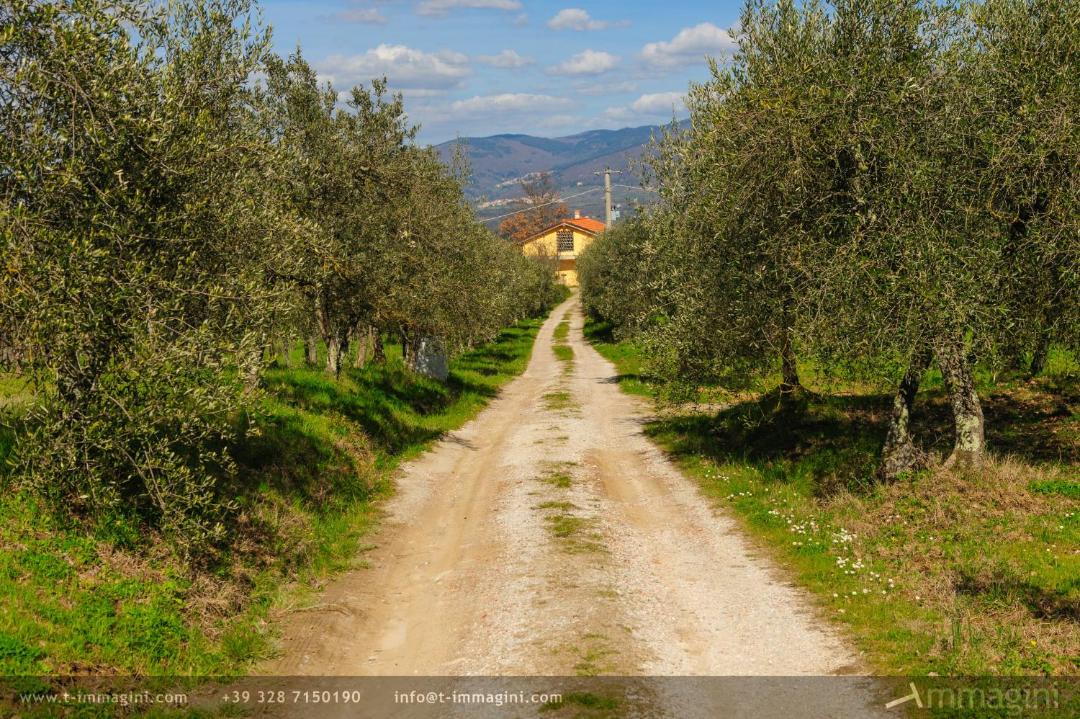 Photo of Others in Figline e Incisa Valdarno