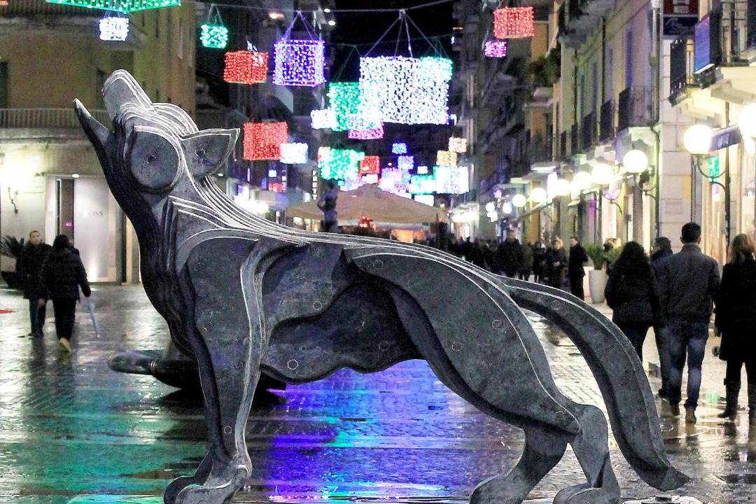 Photo of Others in Cosenza