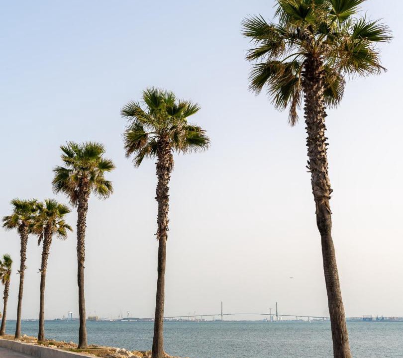 Photo of Outdoor in El Puerto de Santa Maria