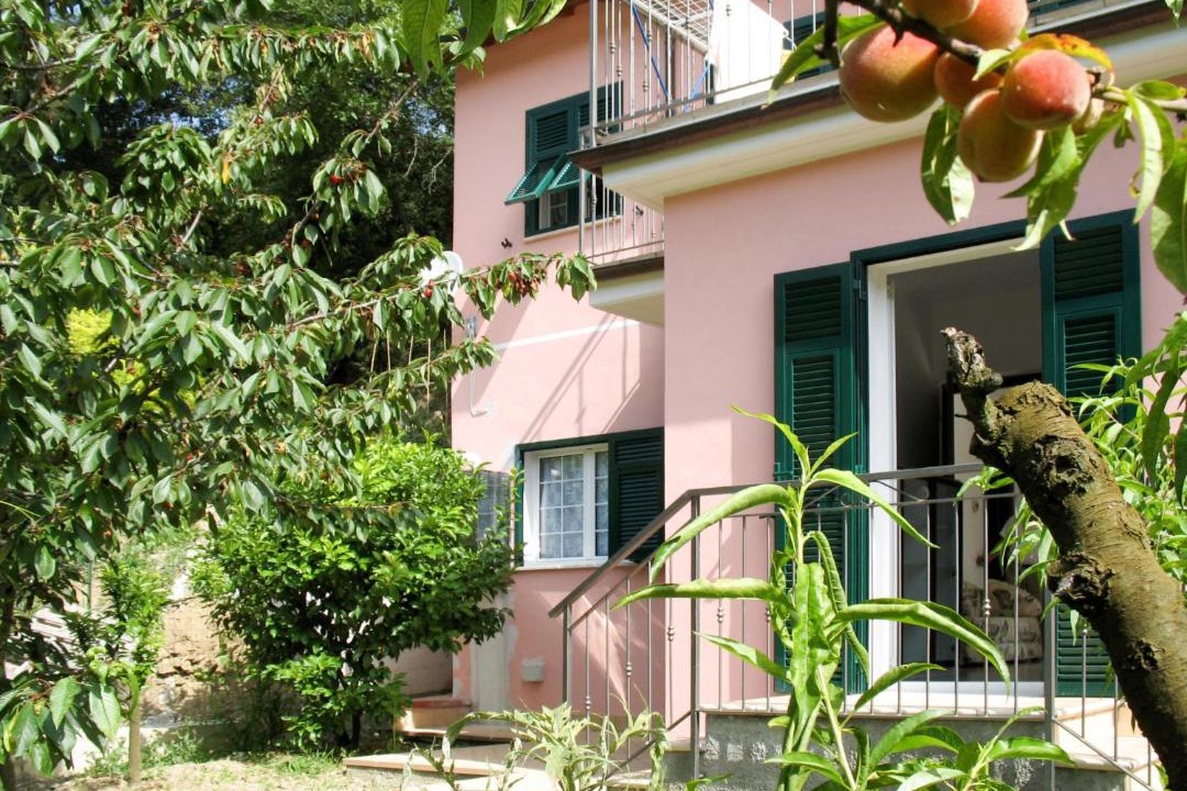Photo of Buildings in Rossi