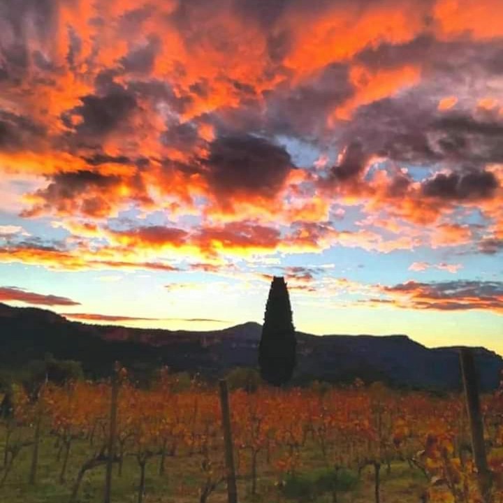 Photo of Outdoor in Cornudella de Montsant