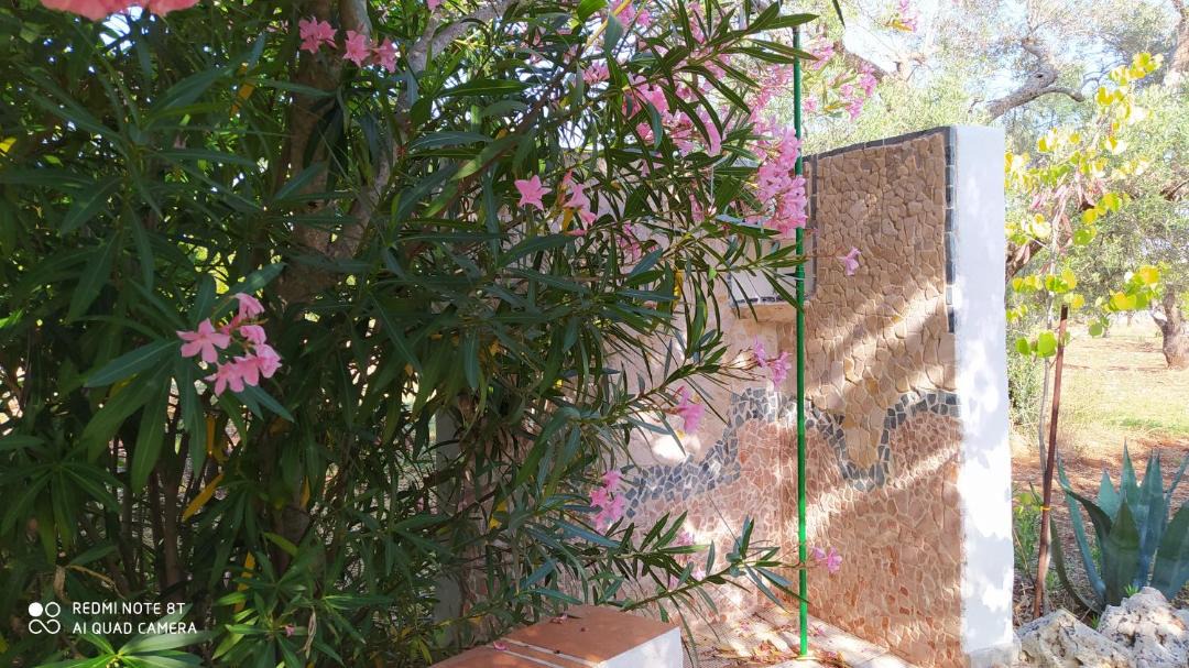 Photo of Others in Villa Castelli