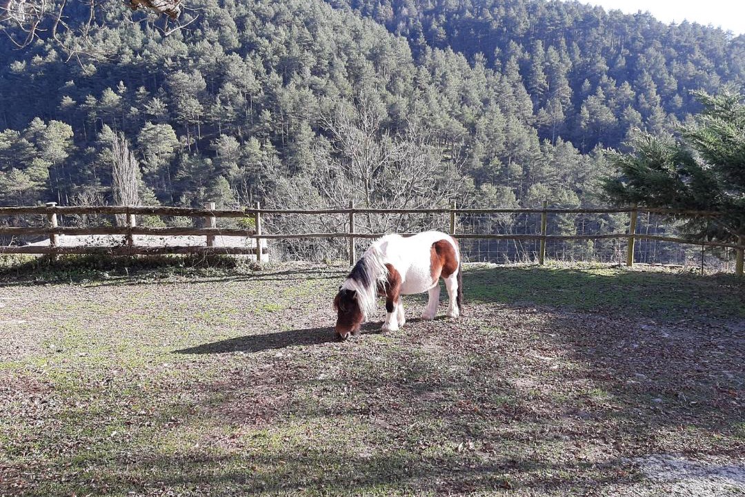 Photo of Others in Campdevanol