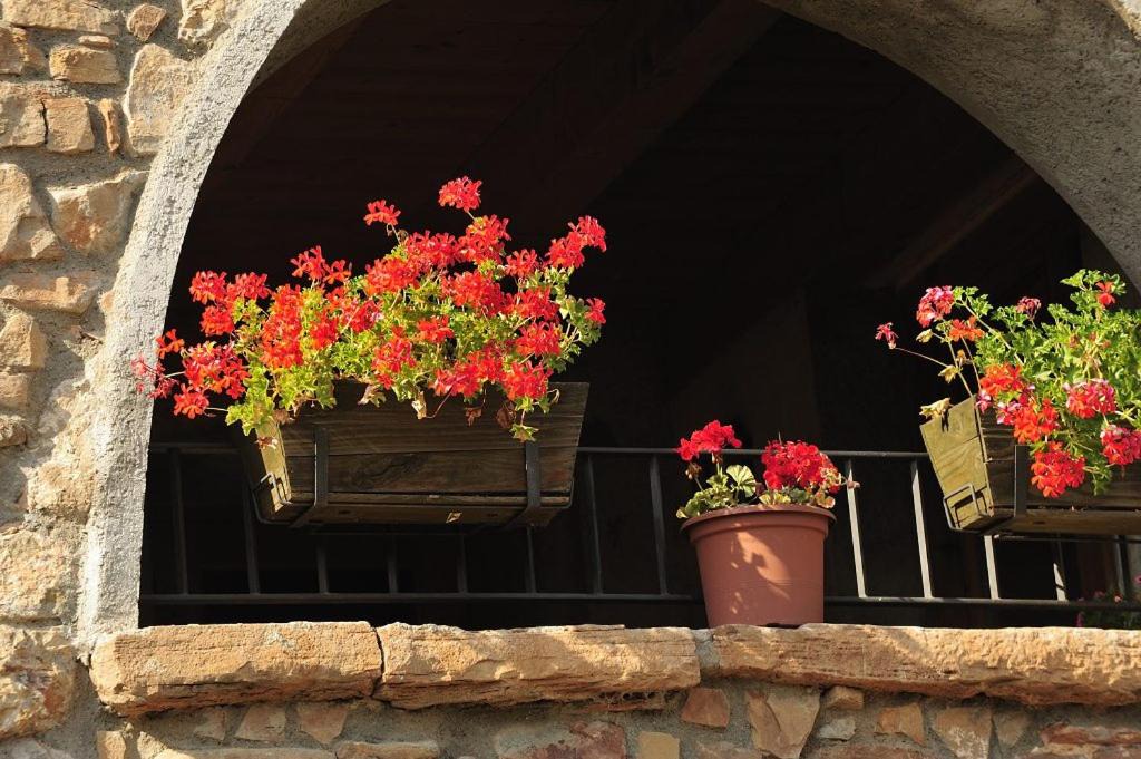 Photo of Patio Balcony in La Baronia de Rialb