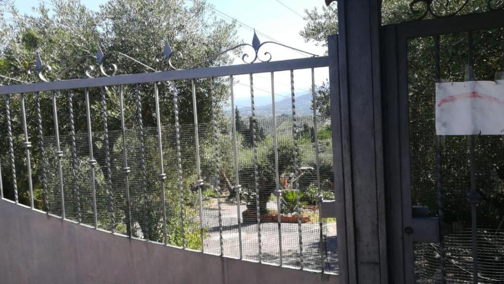 Photo of Others in Fonte Nuova