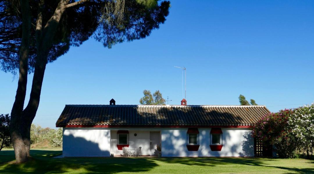 Photo of Buildings in Aznalcazar
