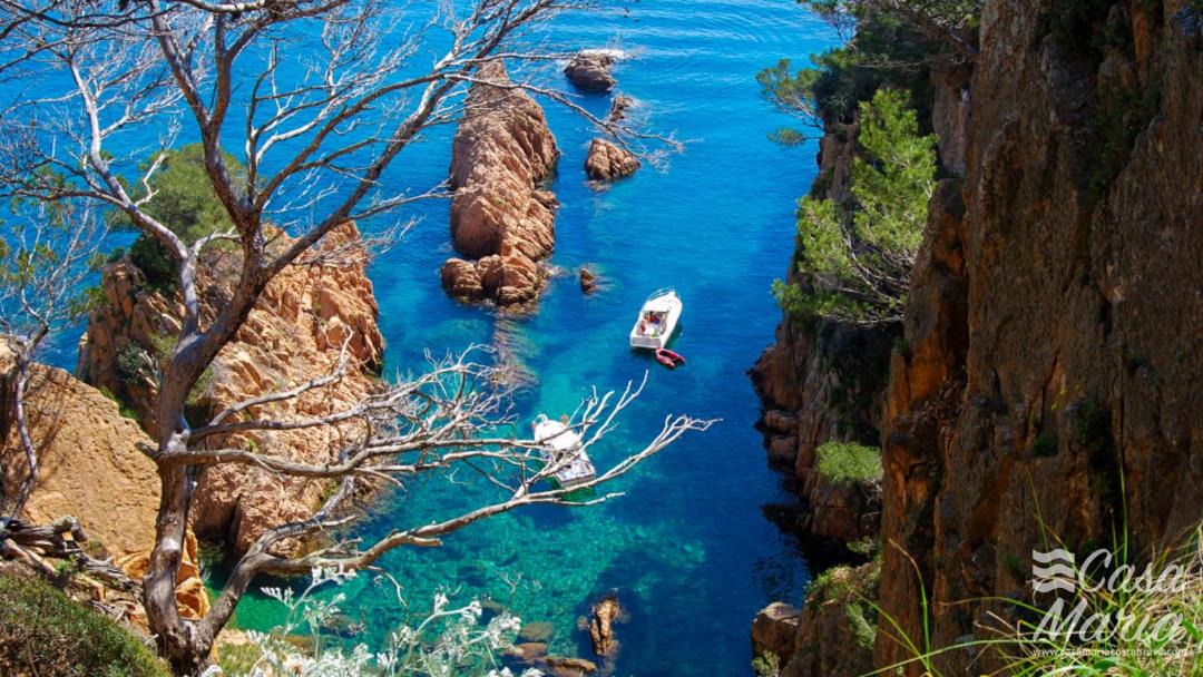 Photo of Others in Sant Feliu de Guixols