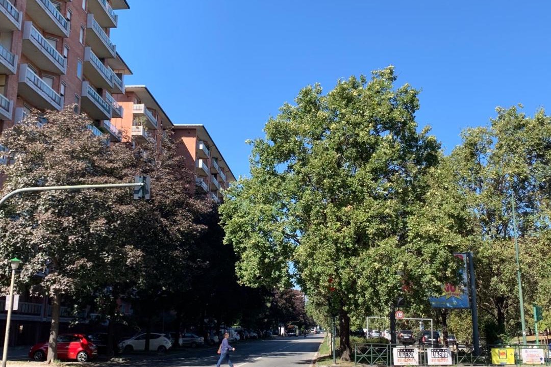 Photo of Buildings in Mirafiori
