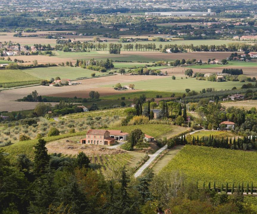 Photo of Others in Bertinoro