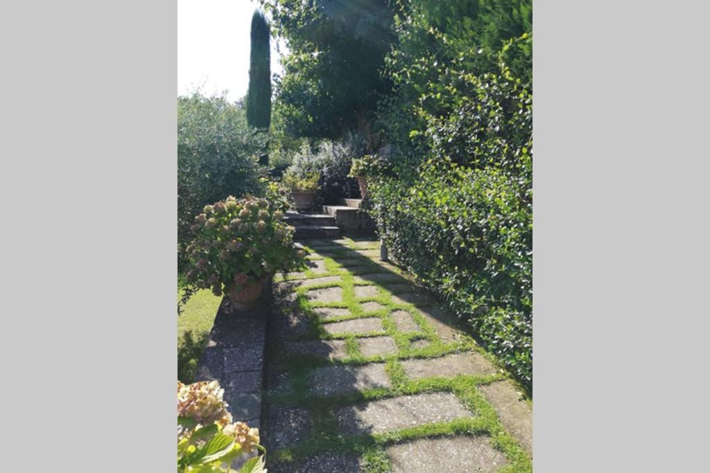 Photo of Others in Pieve al Bagnoro