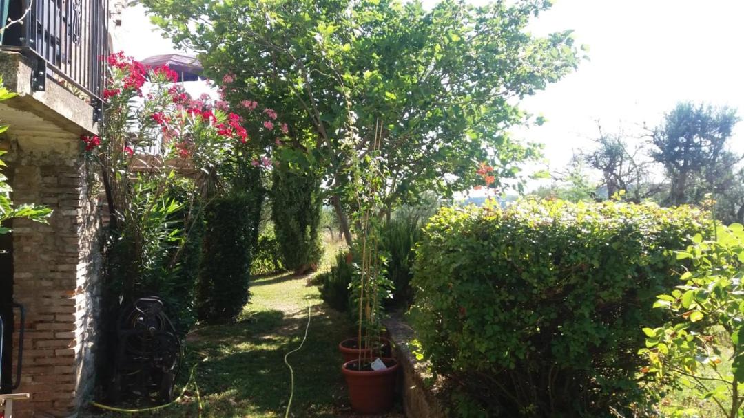 Photo of Others in Guardiagrele
