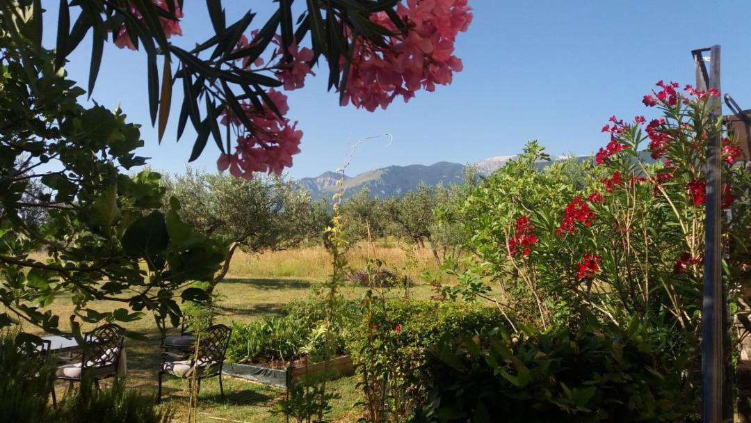 Photo of Others in Guardiagrele