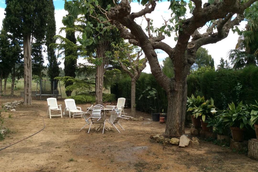 Photo of Others in Falset