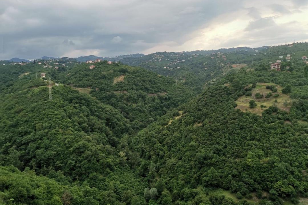 Photo of Buildings in Yomra