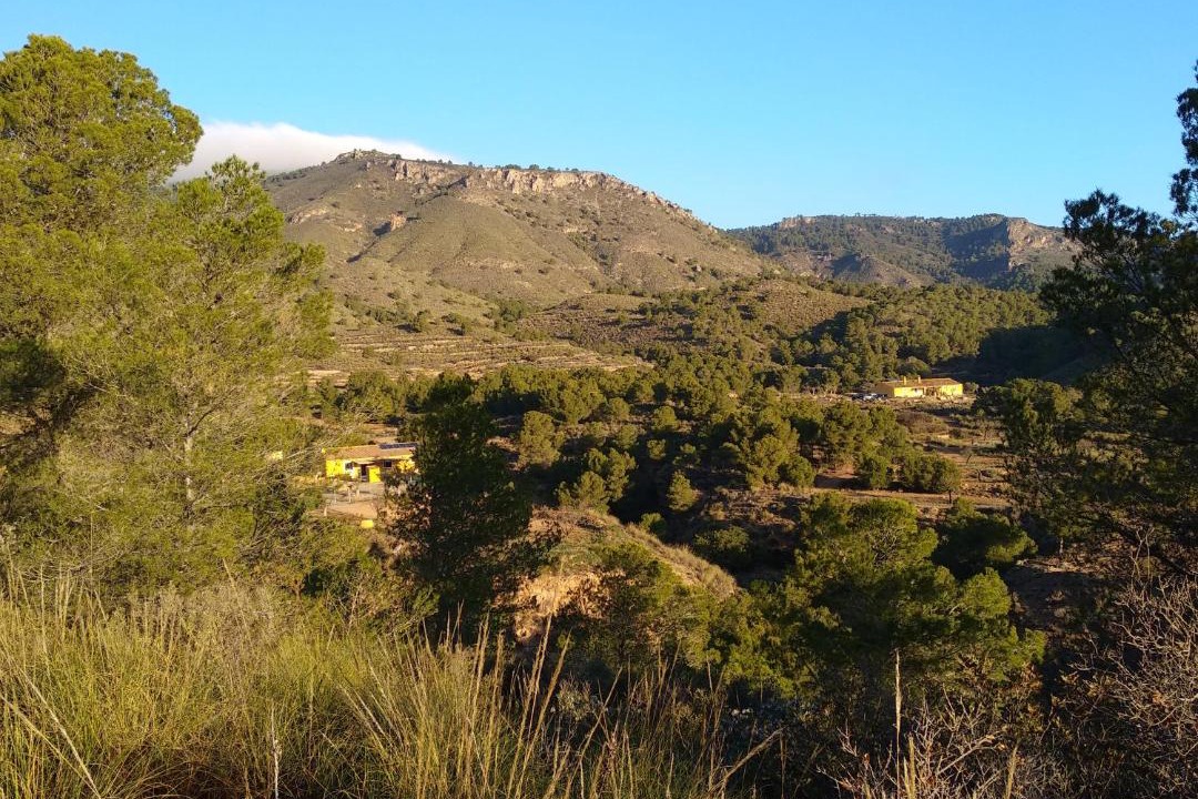 Photo of Others in La Murta