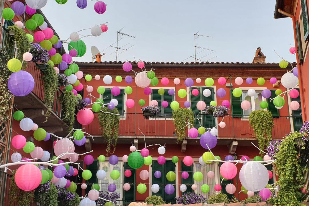 Photo of Others in Alessandria